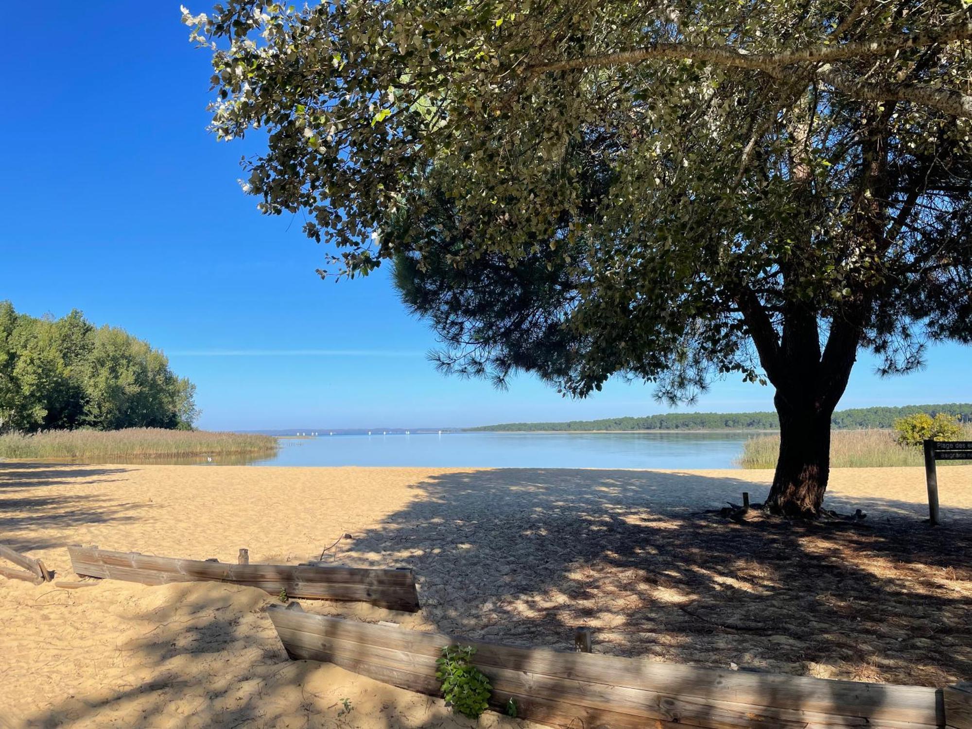 Appartement T2 Proche Lac Sanguinet Εξωτερικό φωτογραφία